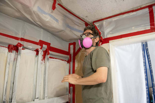 Best Mold Damage Restoration  in Williamson, WV