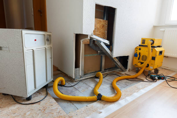 Best Dehumidification Services  in Williamson, WV